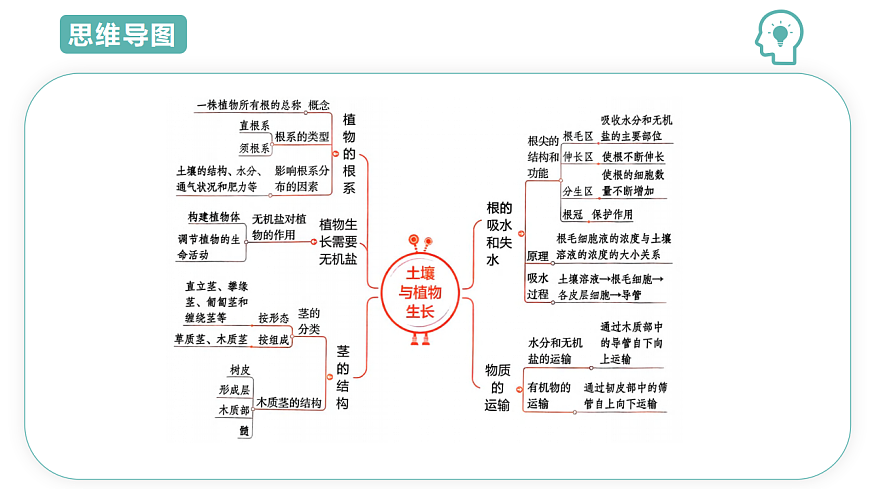 第4章第3节土壤与植物生长2025-2026学年初中科学七下同步复习课件第3页