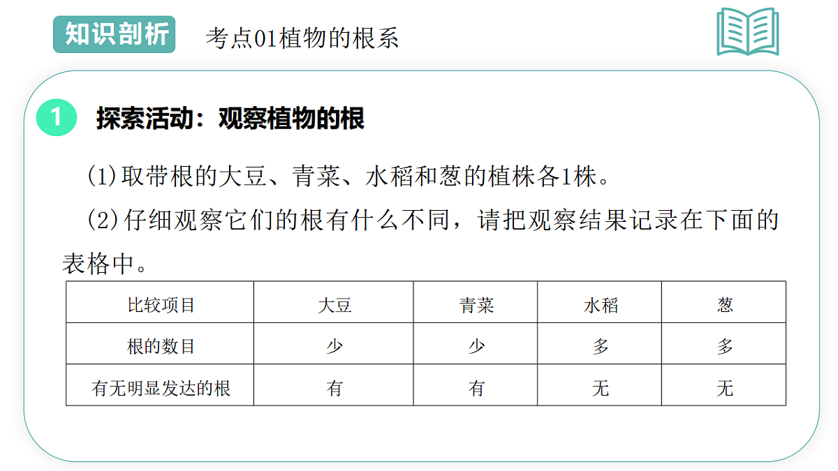第4章第3节土壤与植物生长2025-2026学年初中科学七下同步复习课件第5页