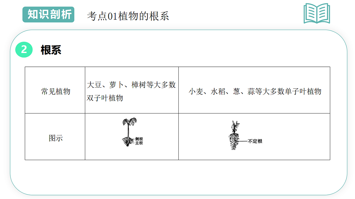 第4章第3节土壤与植物生长2025-2026学年初中科学七下同步复习课件第7页