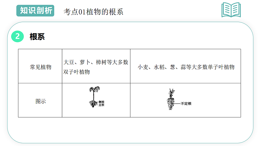 第4章第3节土壤与植物生长2025-2026学年初中科学七下同步复习课件第7页