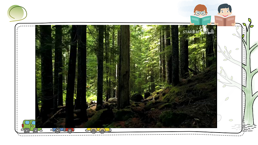 树干上的花纹第4页