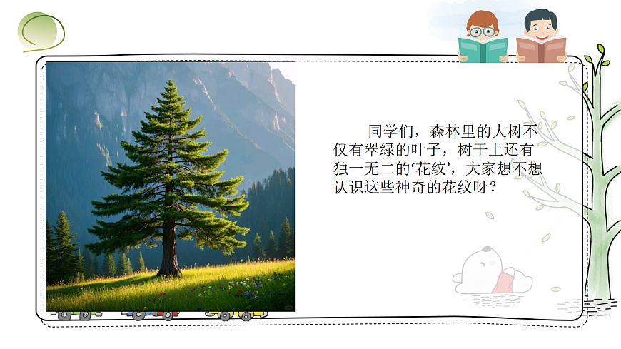 树干上的花纹第5页