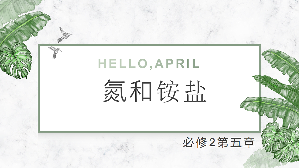 2025-2026学年高一下学期化学人教版必修第二册课件第五章第二节氮及其化合物第二课时第2页