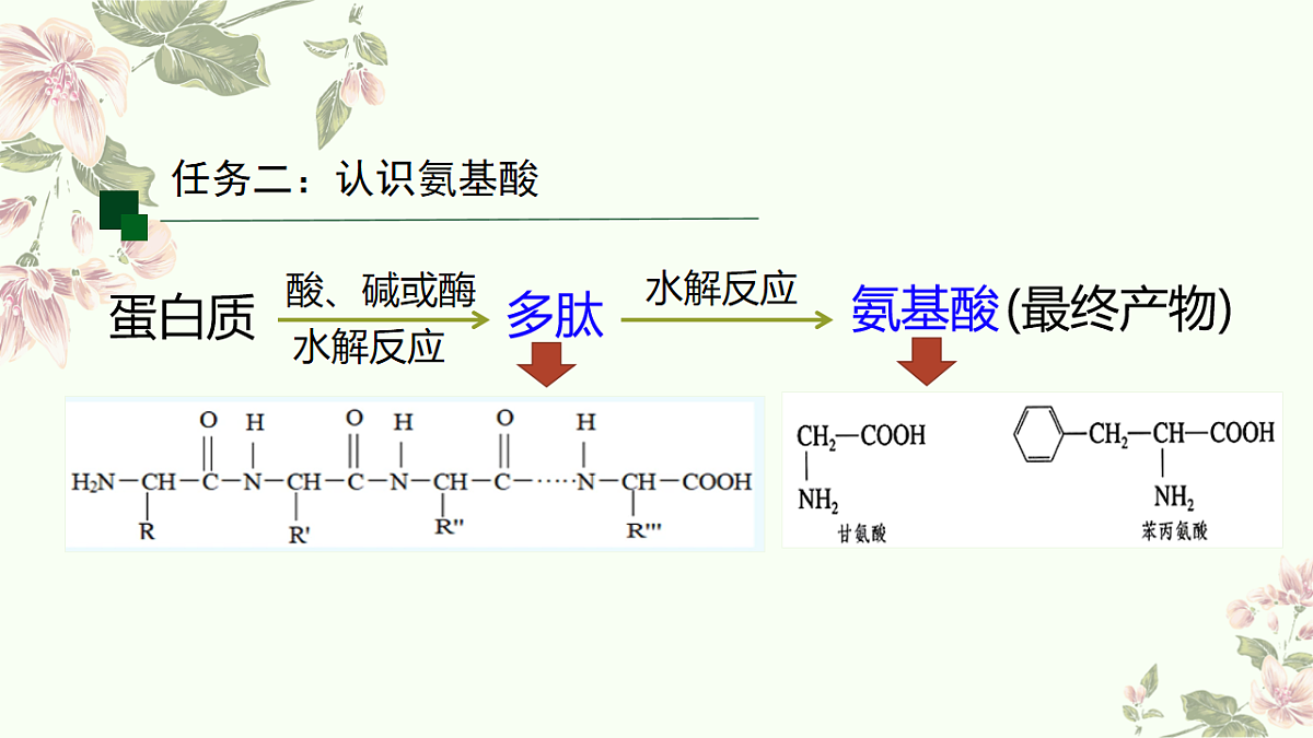 2025-2026学年高一下学期化学人教版必修第二册课件7.4.基本营养物质第2课时第4页