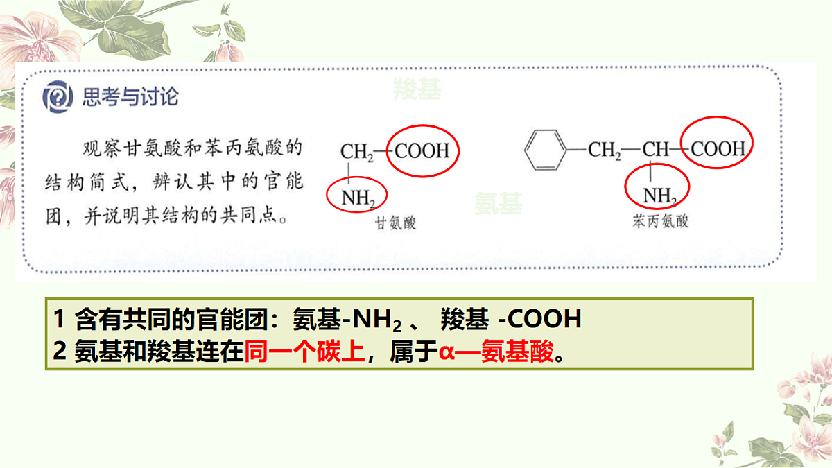 2025-2026学年高一下学期化学人教版必修第二册课件7.4.基本营养物质第2课时第5页