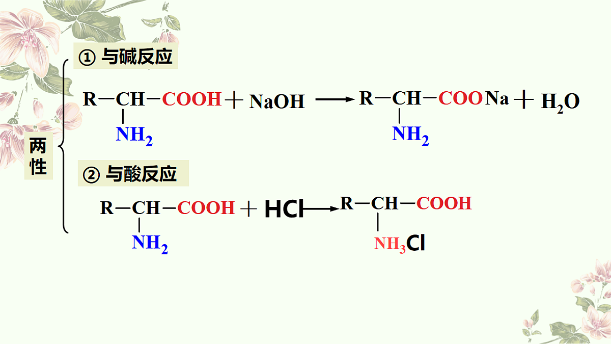 2025-2026学年高一下学期化学人教版必修第二册课件7.4.基本营养物质第2课时第7页