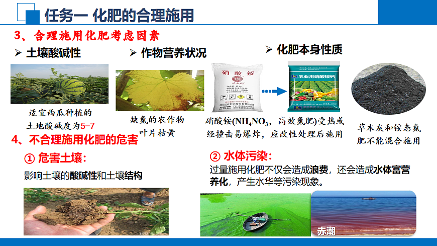 2025-2026学年高一下学期化学人教版必修第二册课件8.2.2   化学品的合理使用第1课时第5页