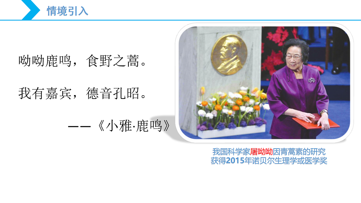 2025-2026学年高一下学期化学人教版必修第二册课件8.2.2化学品的合理使用第2课时第3页