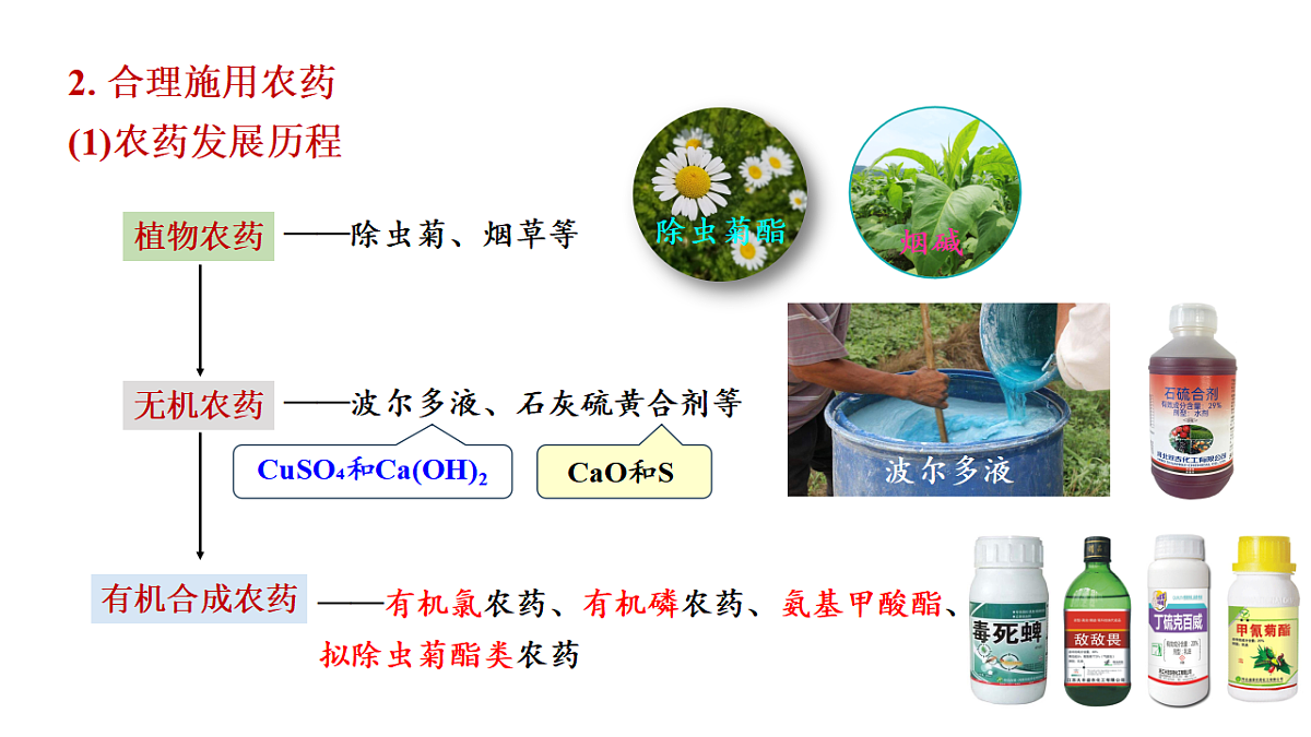2025-2026学年高一下学期化学人教版（2019）必修第二册课件8.2化学品的合理使用第5页