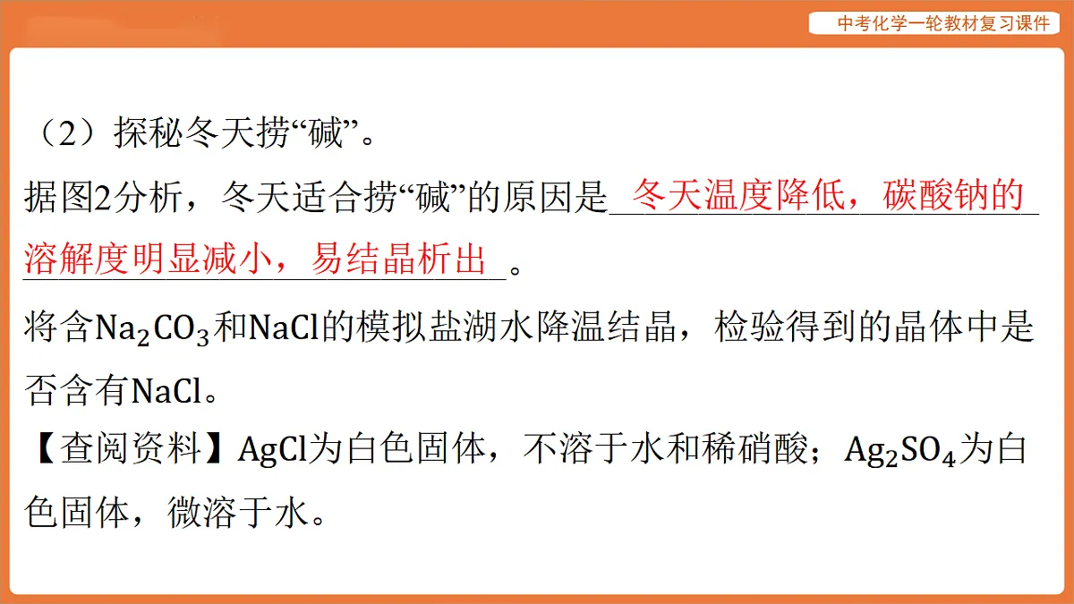 专题五 科学探究专题-课件 2026年中考化学二轮专题复习第5页
