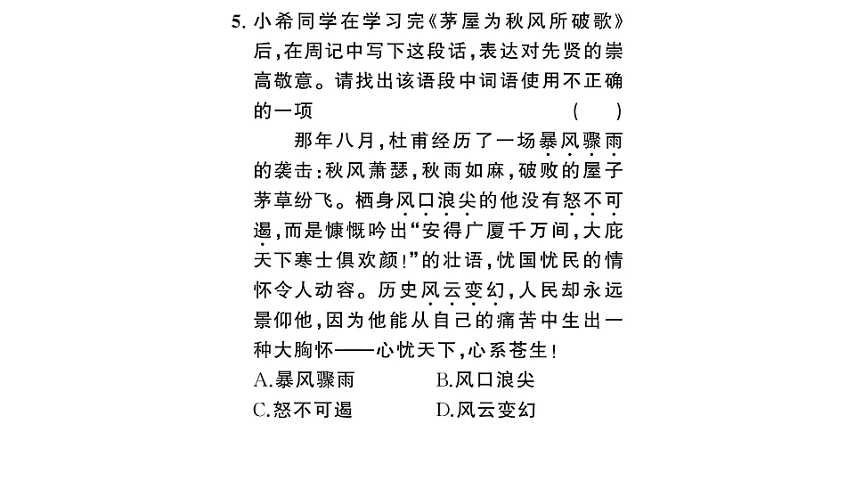 初中语文新部编版八年级下册期末专题二 词语（成语）理解与运用复习作业课件（2026春）（放映显示答案）第6页