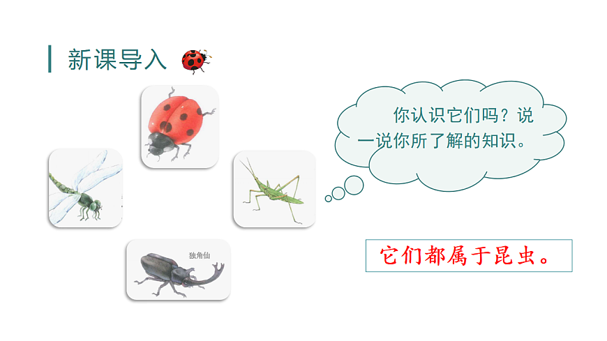 小学语文新部编版三年级下册第一单元4 昆虫备忘录教学课件（2026春新版）第1页