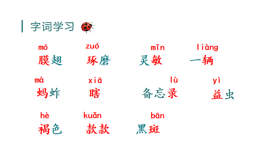 小学语文新部编版三年级下册第一单元4 昆虫备忘录教学课件（2026春新版）第7页