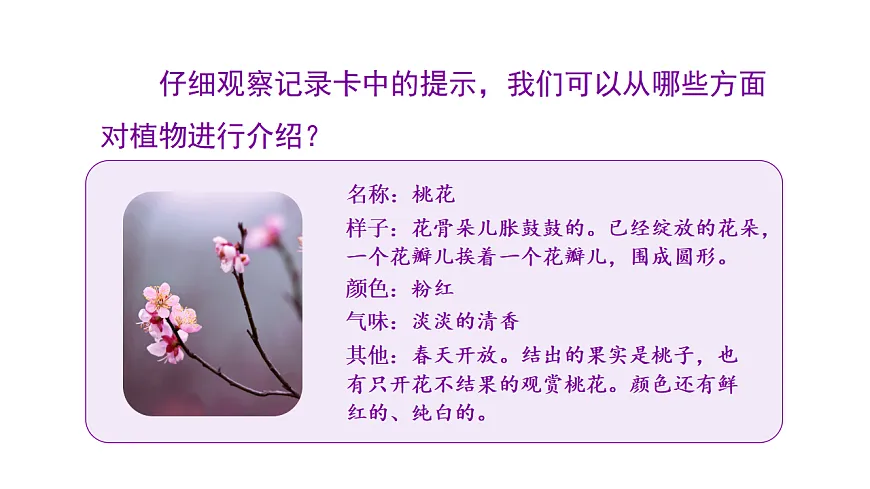 小学语文新部编版三年级下册第一单元习作一 我的植物朋友教学课件（2026春新版）第5页