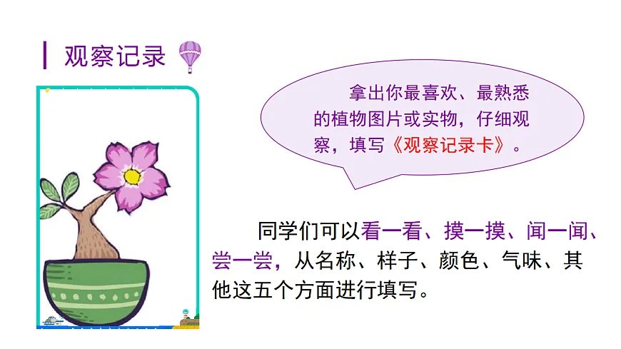 小学语文新部编版三年级下册第一单元习作一 我的植物朋友教学课件（2026春新版）第6页