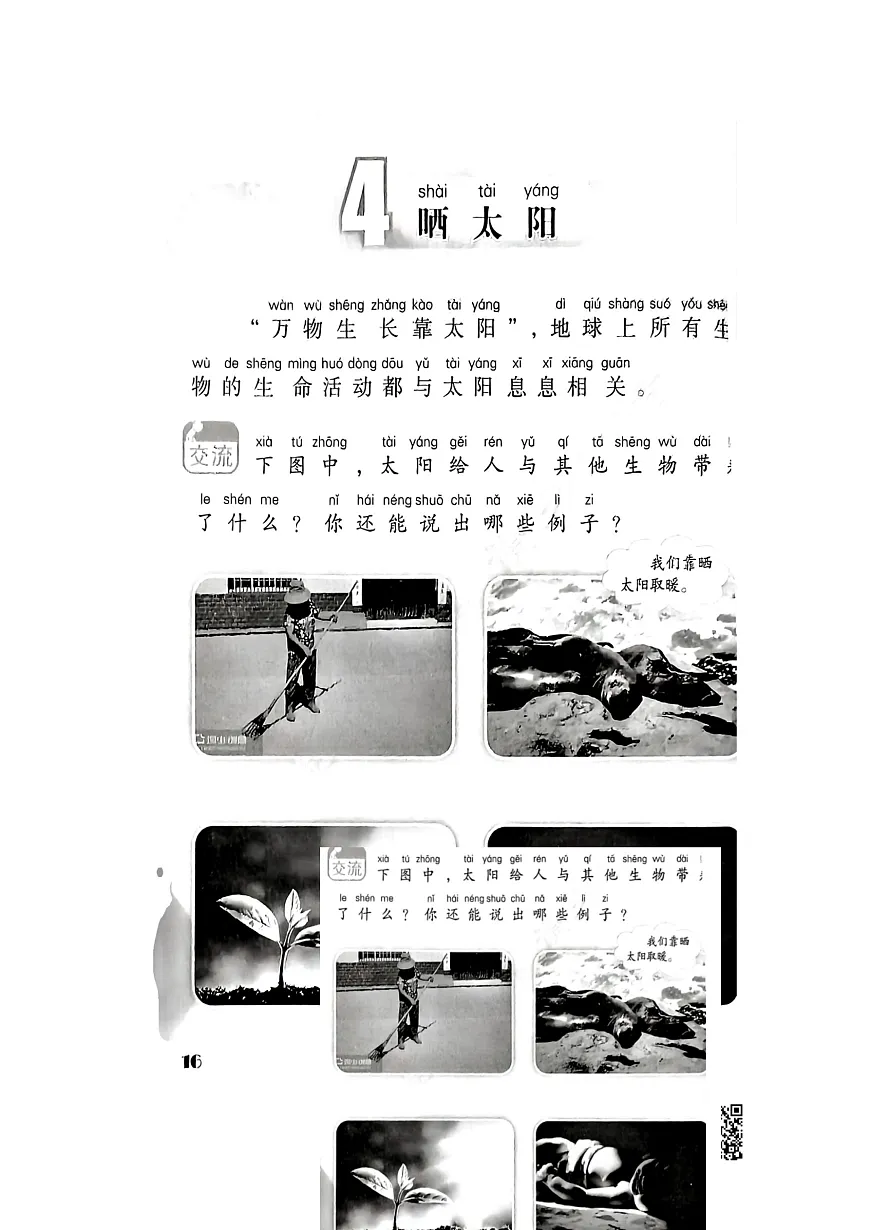 04晒太阳第1页