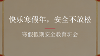 快乐寒假年，安全不放松 课件--2025-2026学年高二上学期寒假假期安全教育班会