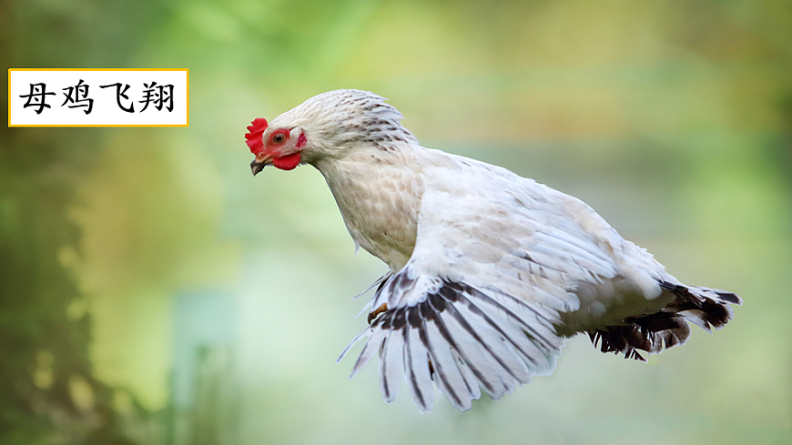 【核心素养】部编版小学语文三年级下册习作这样想象真有趣课件第2页