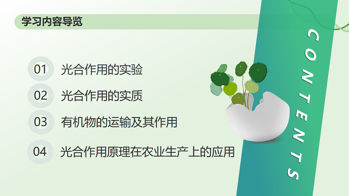 3.2.2鍏夊悎浣滅敤 璇句欢-2025--2026瀛﹀勾 涓冨勾绾х敓鐗┞蜂笅鍐岋紙浜烘暀鐗堬級第2页