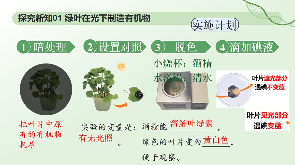 3.2.2鍏夊悎浣滅敤 璇句欢-2025--2026瀛﹀勾 涓冨勾绾х敓鐗┞蜂笅鍐岋紙浜烘暀鐗堬級第6页