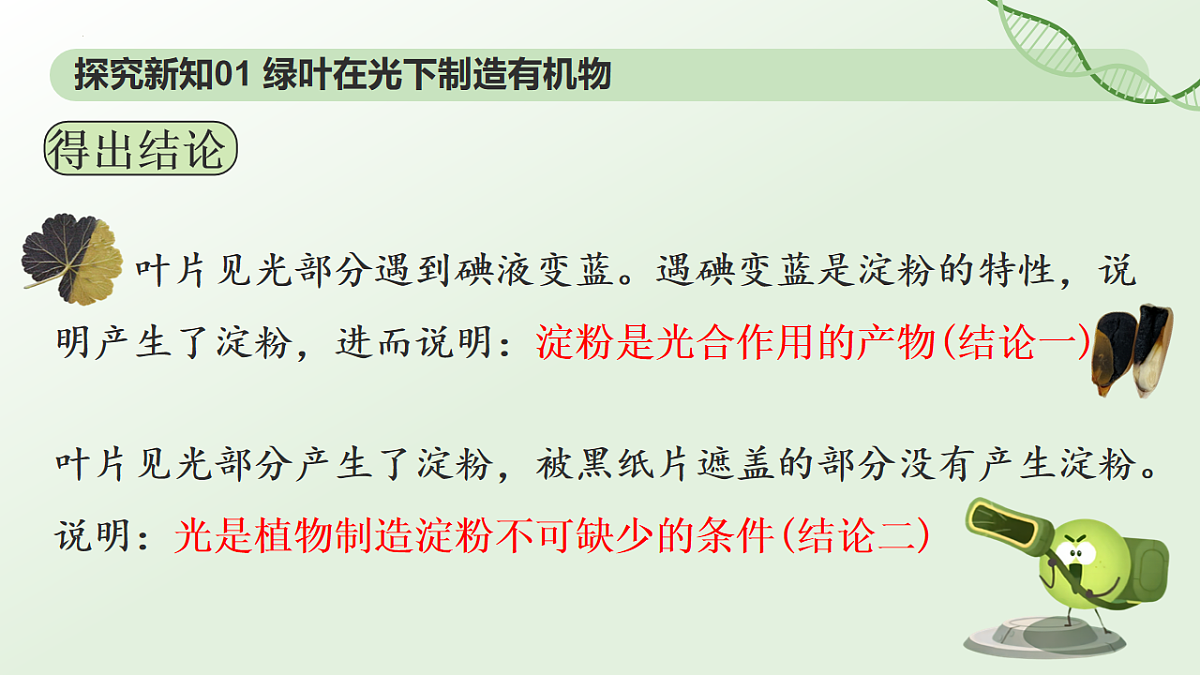 3.2.2鍏夊悎浣滅敤 璇句欢-2025--2026瀛﹀勾 涓冨勾绾х敓鐗┞蜂笅鍐岋紙浜烘暀鐗堬級第7页