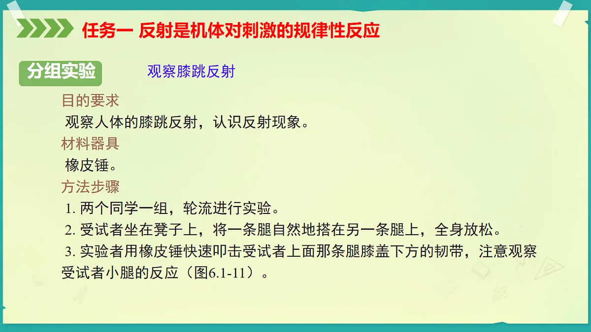 初中 生物 济南版（2024） 八年级上册6.1.3 反射是神经调节的基本方式 课件第8页