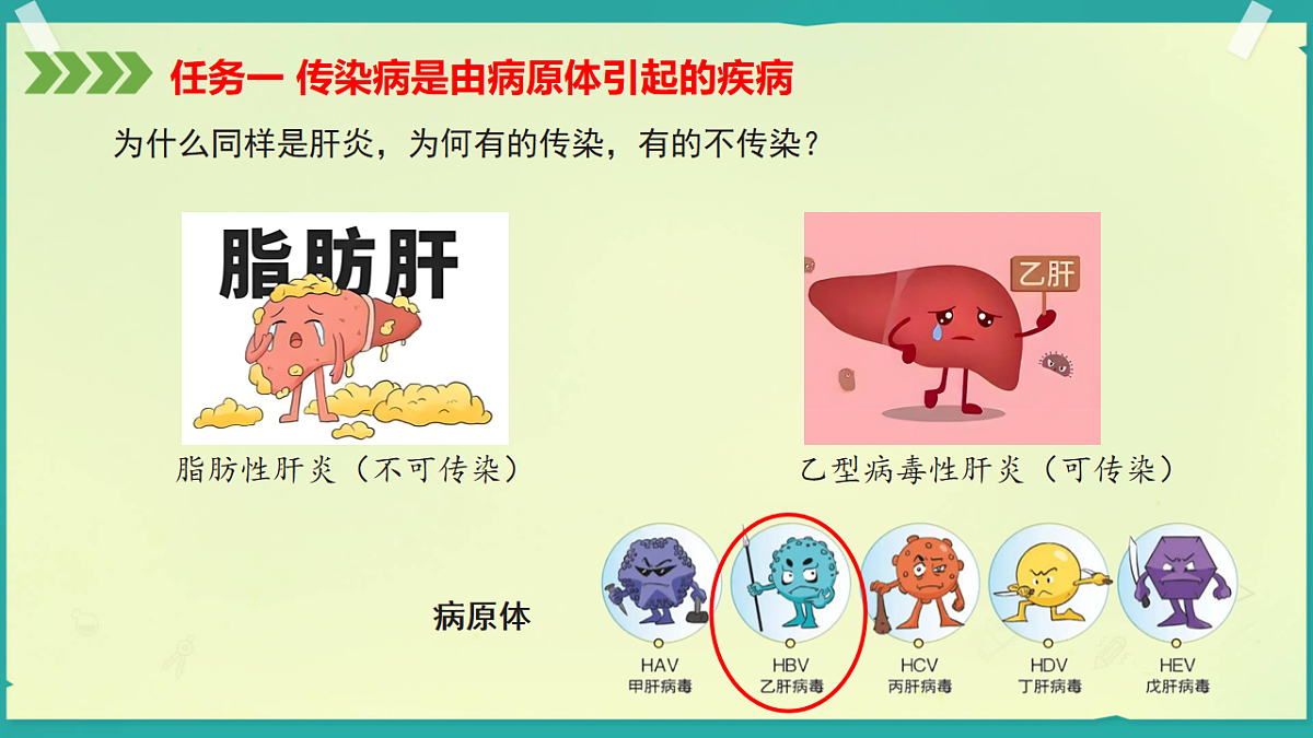 初中  生物  济南版（2024）  八年级上册6.2.2 传染病是可以预防和控制的 课件第6页