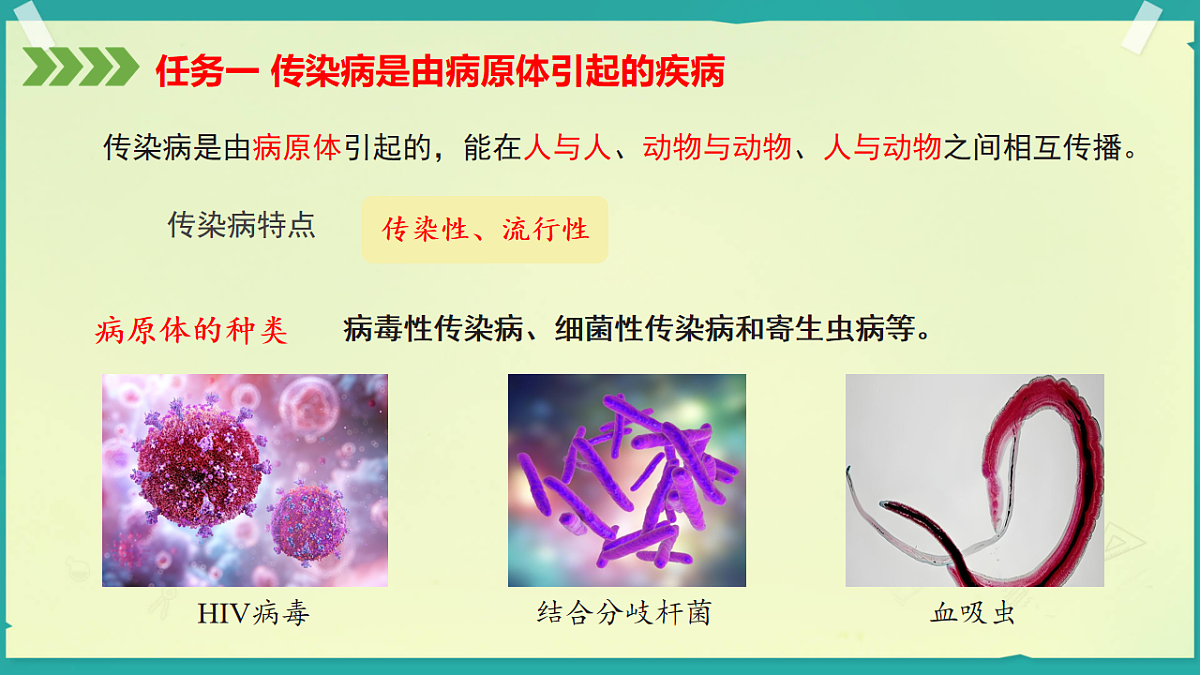 初中  生物  济南版（2024）  八年级上册6.2.2 传染病是可以预防和控制的 课件第7页
