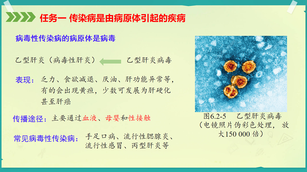 初中  生物  济南版（2024）  八年级上册6.2.2 传染病是可以预防和控制的 课件第8页