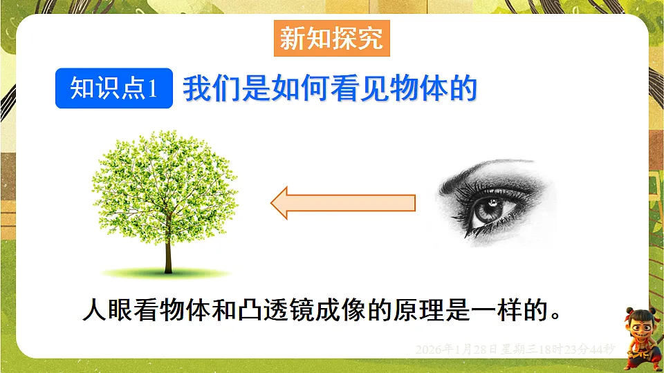 4.3神奇的“眼睛”-第1课时 眼睛及视力的矫正（课件）--沪科版（新教材）八年级物理全一册第3页