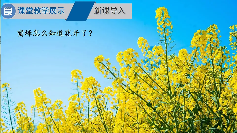 12.2看不见的运动（课件）--沪科版（新教材）八年级物理全一册下册第3页