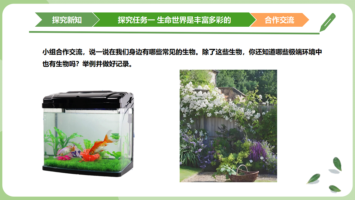 初中 生物 济南版（2024） 七年级上册1.1.1 生物具有基本的生命特征 课件第3页