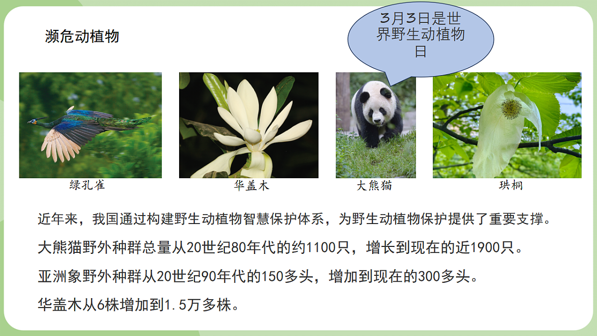 初中 生物 济南版（2024） 七年级上册1.1.1 生物具有基本的生命特征 课件第6页