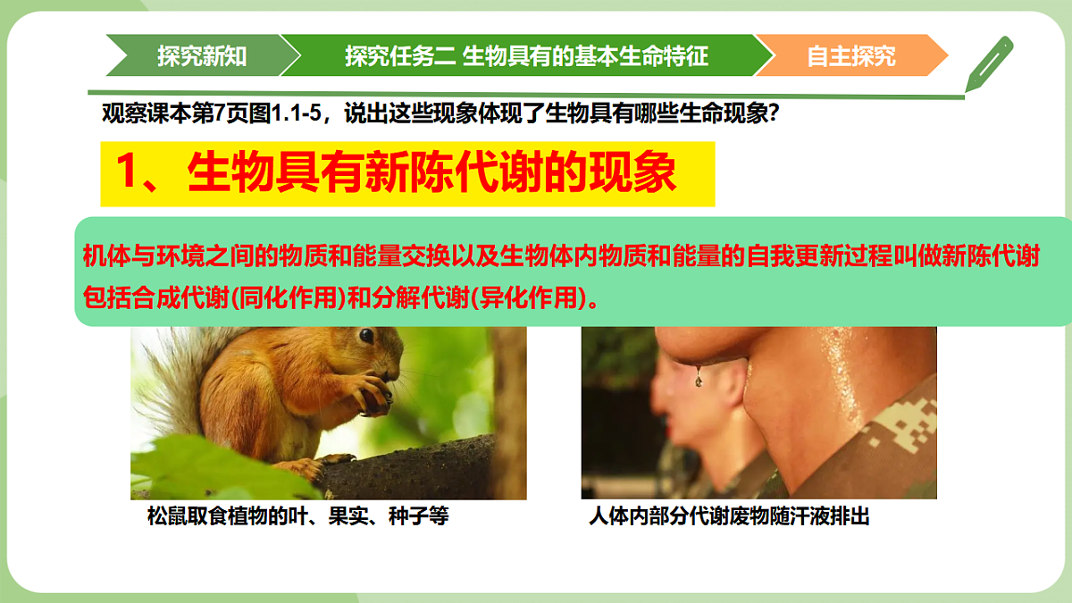 初中 生物 济南版（2024） 七年级上册1.1.1 生物具有基本的生命特征 课件第8页
