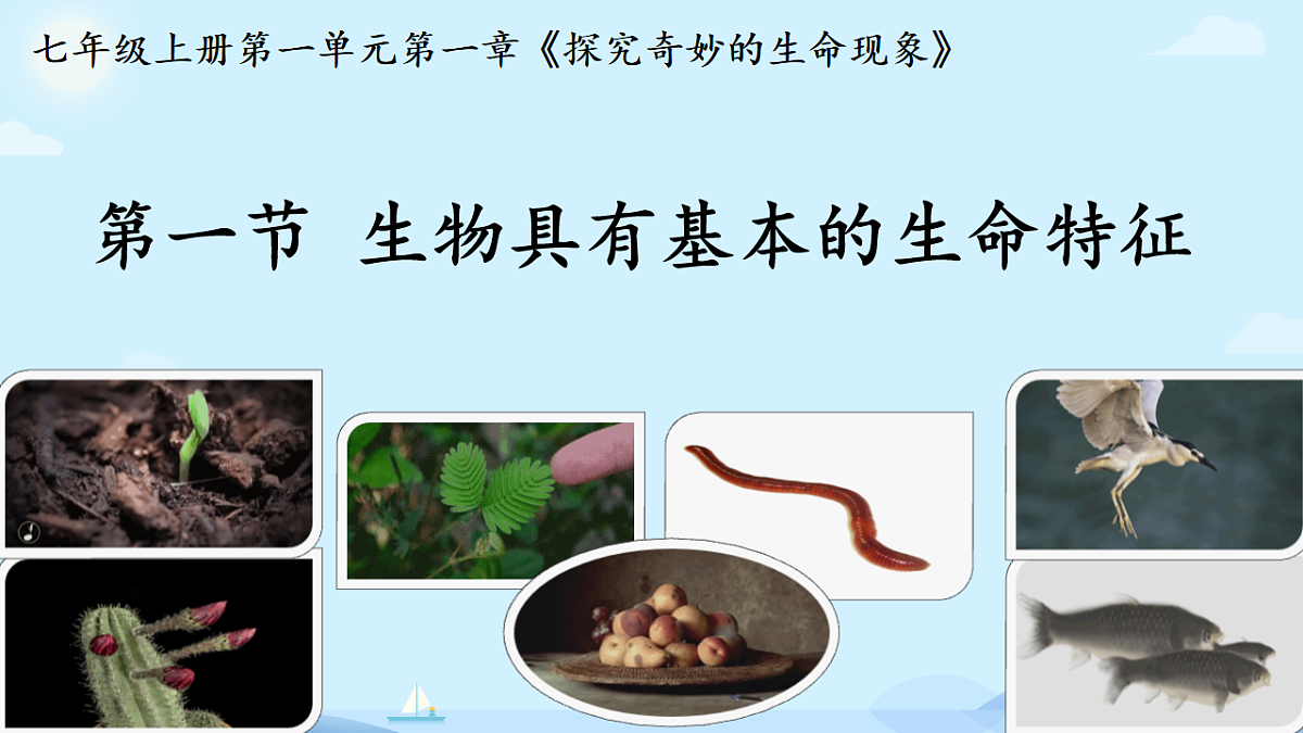 初中 生物 济南版（2024） 七年级上册1.1.1 生物具有基本的生命特征 课件第1页