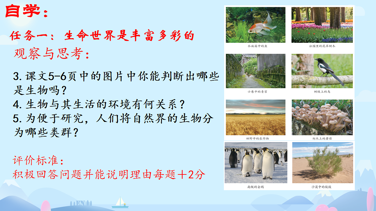 初中 生物 济南版（2024） 七年级上册1.1.1 生物具有基本的生命特征 课件第4页