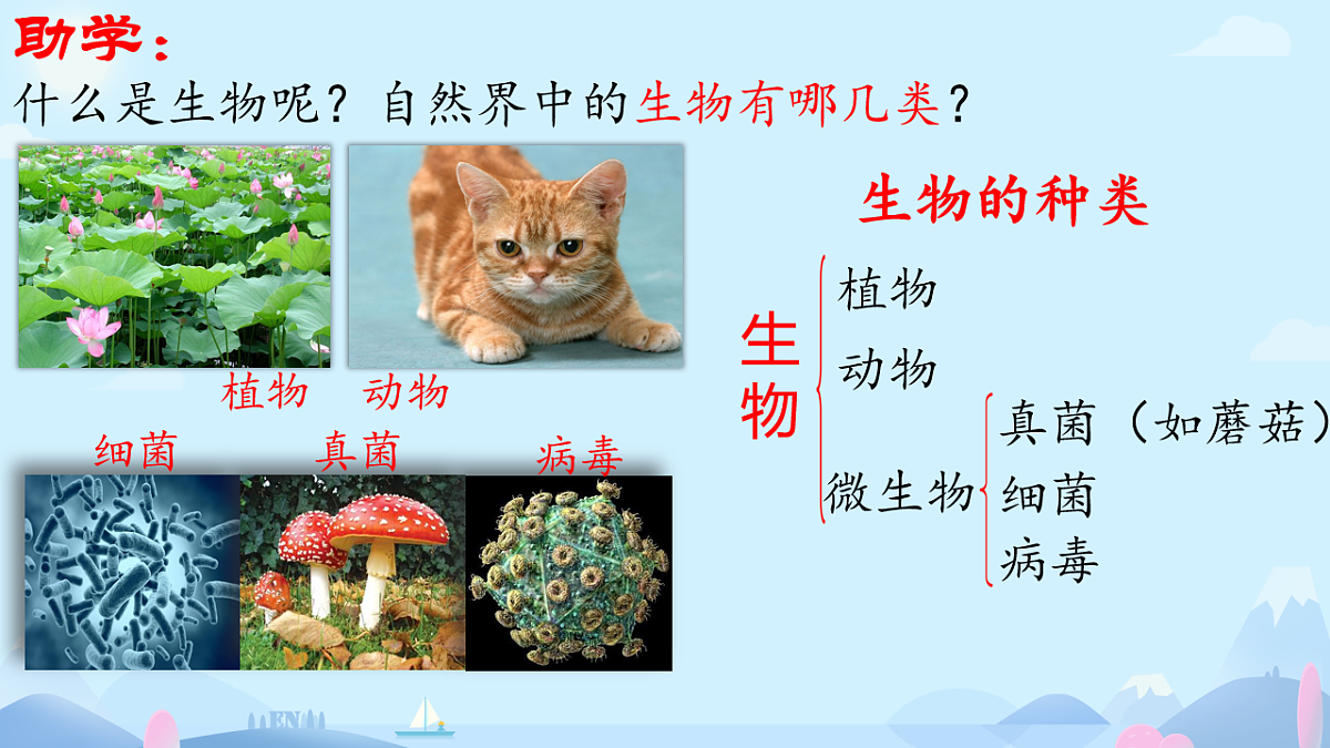 初中 生物 济南版（2024） 七年级上册1.1.1 生物具有基本的生命特征 课件第5页