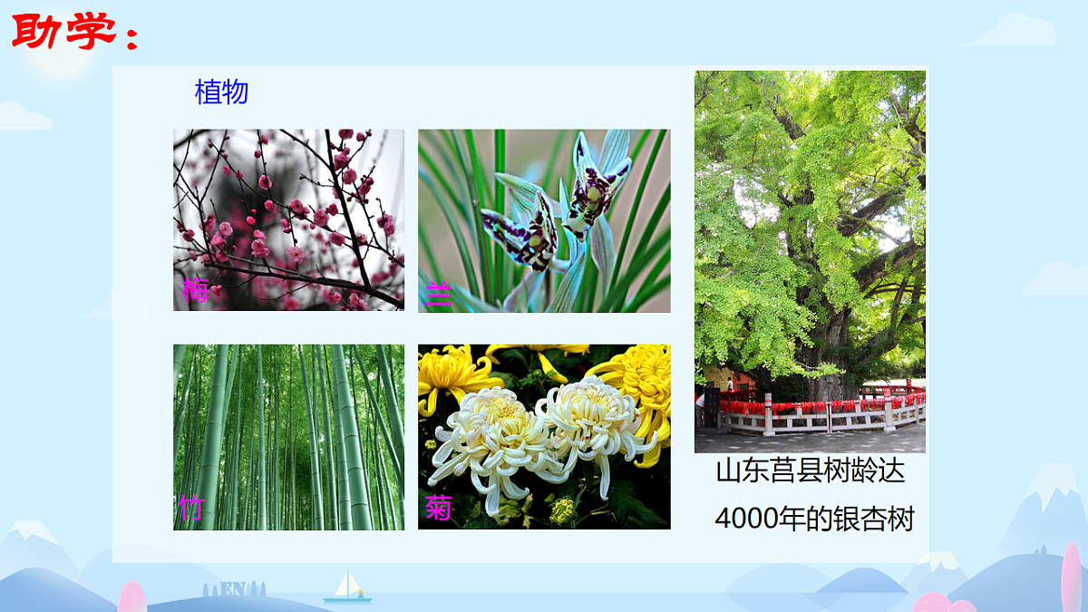 初中 生物 济南版（2024） 七年级上册1.1.1 生物具有基本的生命特征 课件第6页