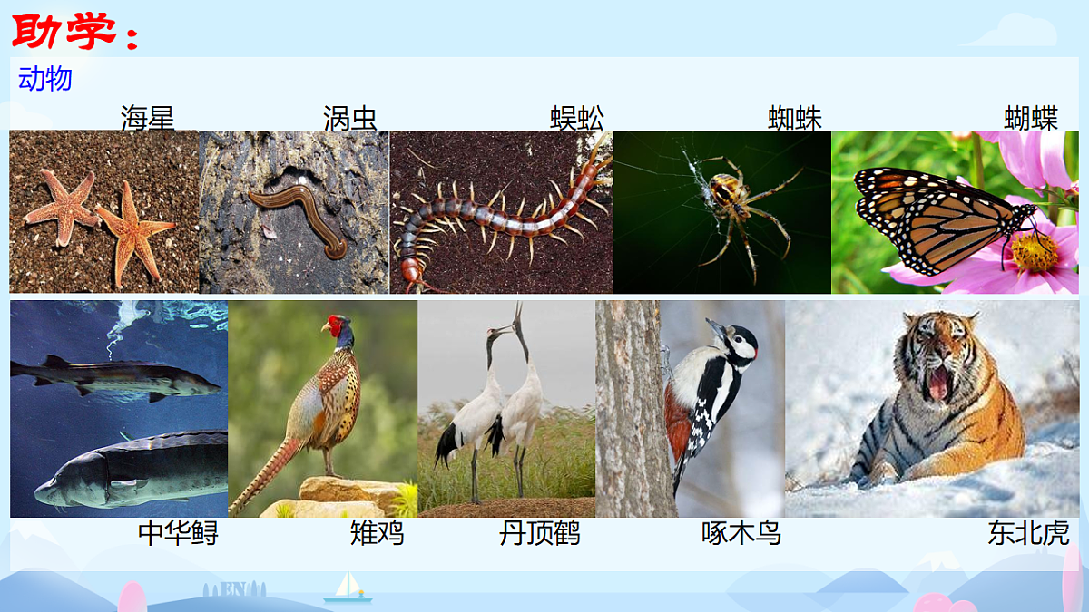 初中 生物 济南版（2024） 七年级上册1.1.1 生物具有基本的生命特征 课件第7页