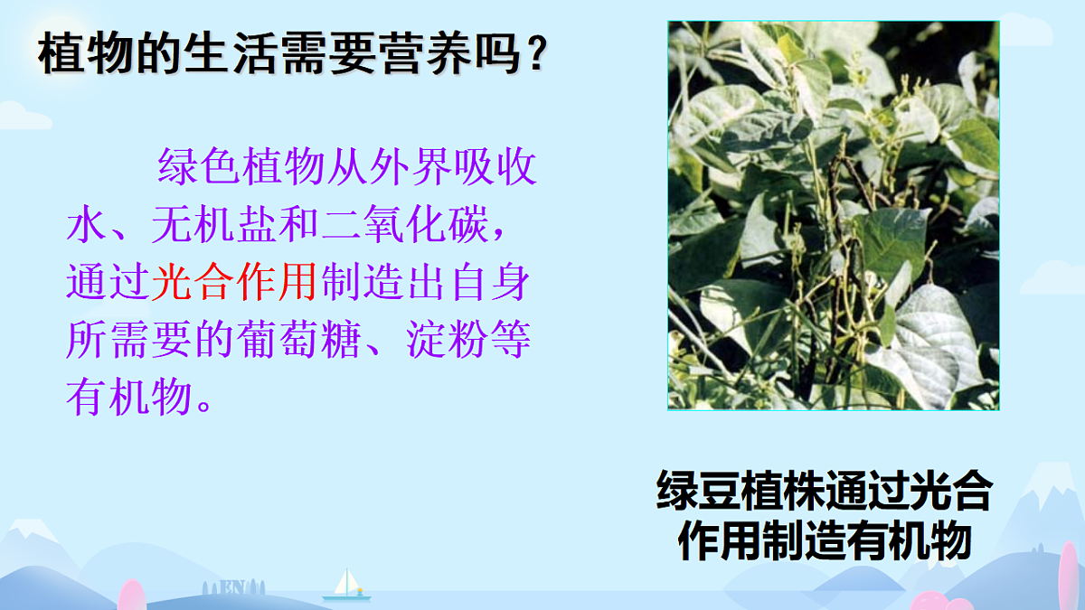 初中 生物 济南版（2024） 七年级上册1.1.1 生物具有基本的生命特征 课件第7页