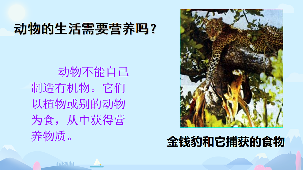 初中 生物 济南版（2024） 七年级上册1.1.1 生物具有基本的生命特征 课件第8页