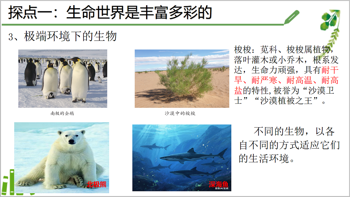 初中  生物  济南版（2024）  七年级上册1.1.1 生物具有基本的生命特征 课件第8页