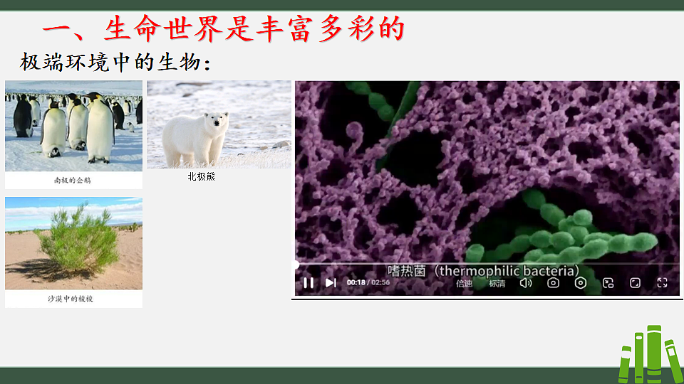 初中 生物 济南版（2024） 七年级上册1.1.1 生物具有基本的生命特征 课件第4页
