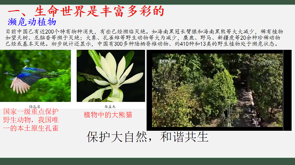 初中 生物 济南版（2024） 七年级上册1.1.1 生物具有基本的生命特征 课件第5页