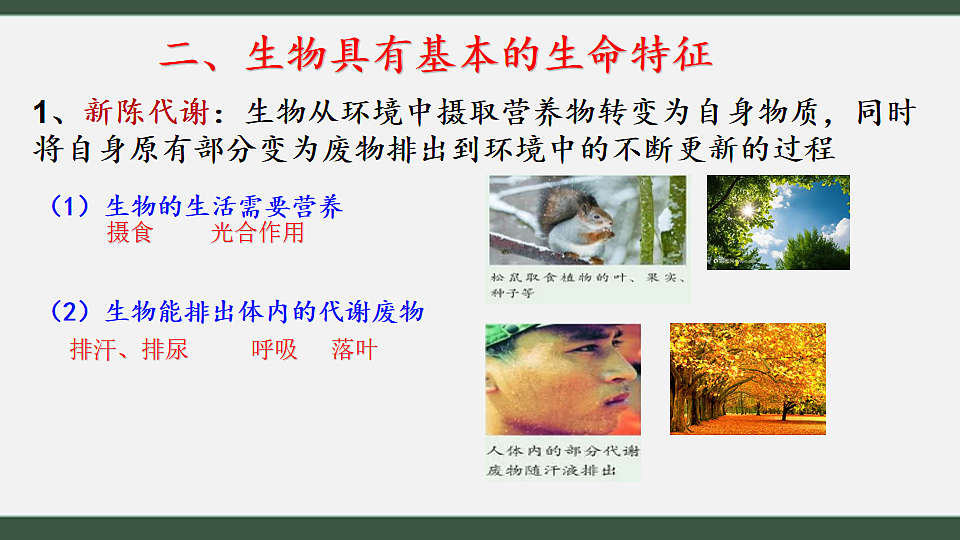 初中 生物 济南版（2024） 七年级上册1.1.1 生物具有基本的生命特征 课件第8页