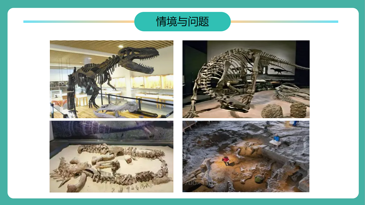 【任务型备课】教科版二年级下册-1.2《挖掘恐龙”化石“》（教学课件）第5页