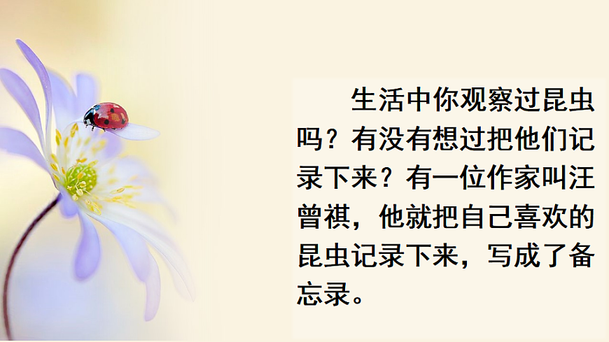 【核心素养】部编版小学语文三年级下册  4昆虫备忘录 课件第2页