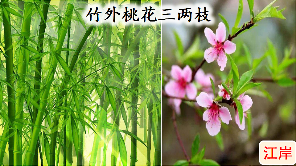 【核心素养】部编版小学语文三年级下册 1古诗三首绝句 课件第7页