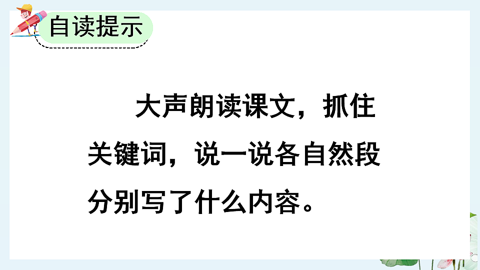 【核心素养】部编版小学语文三年级下册 3荷花 课件第8页