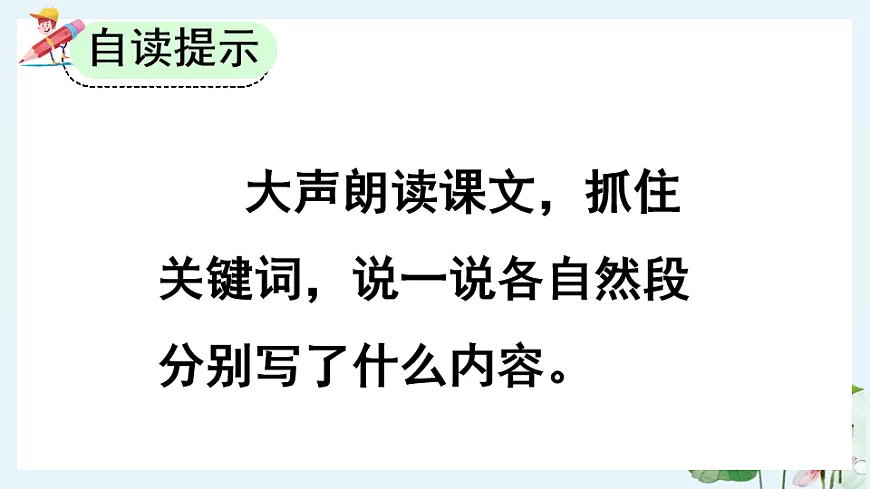 【核心素养】部编版小学语文三年级下册 3荷花 课件第8页